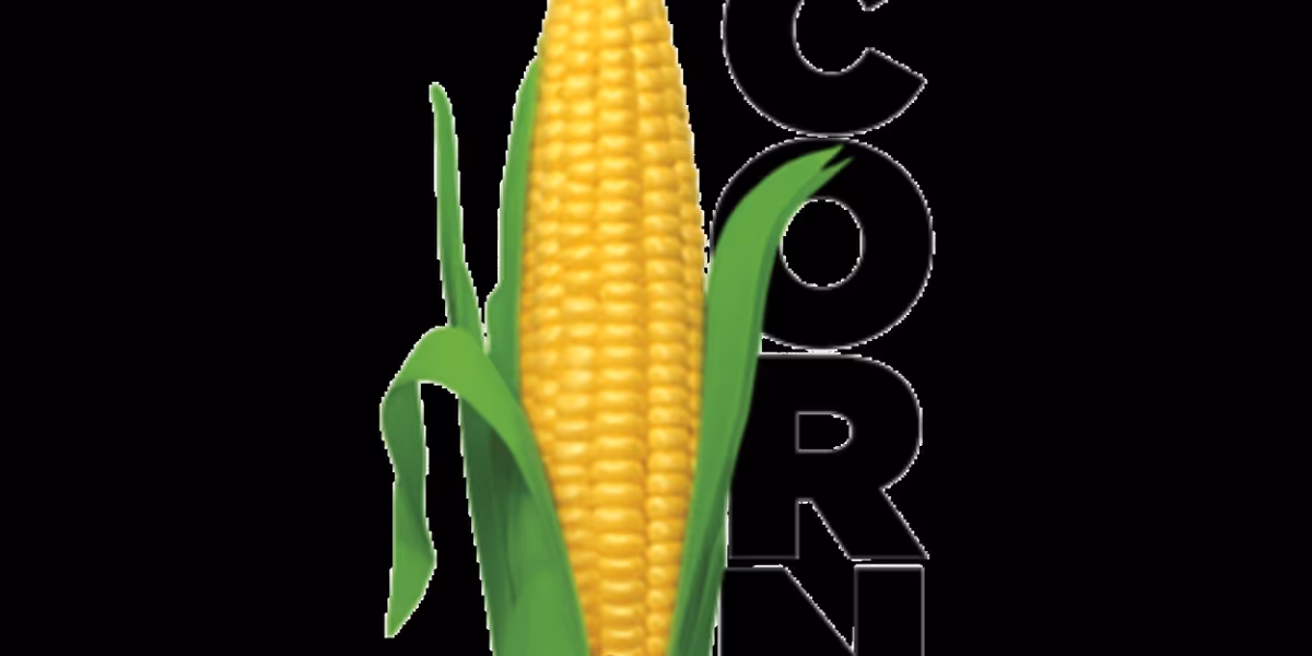 Fort Salem Theater Presents CORN! THE MUSICAL Benefit Concert Performance