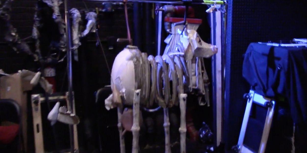 VLOG: Go Backstage At INTO THE WOODS With Kennedy Kennedy Kanagawa - Episode 3 Video