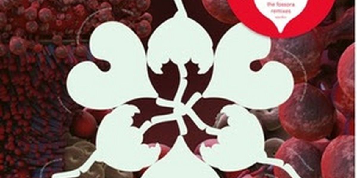 Björk to Release 'the fossora remixes' Record Store Day 12” Double Single