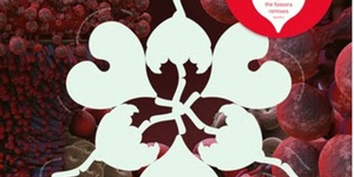 Björk to Release 'the fossora remixes' Record Store Day 12” Double Single  Image