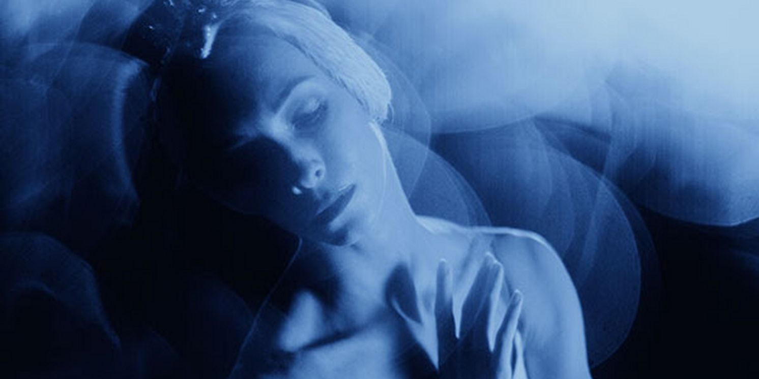 Dutch National Ballet to Present THE SWAN LAKE Beginning in March  Image