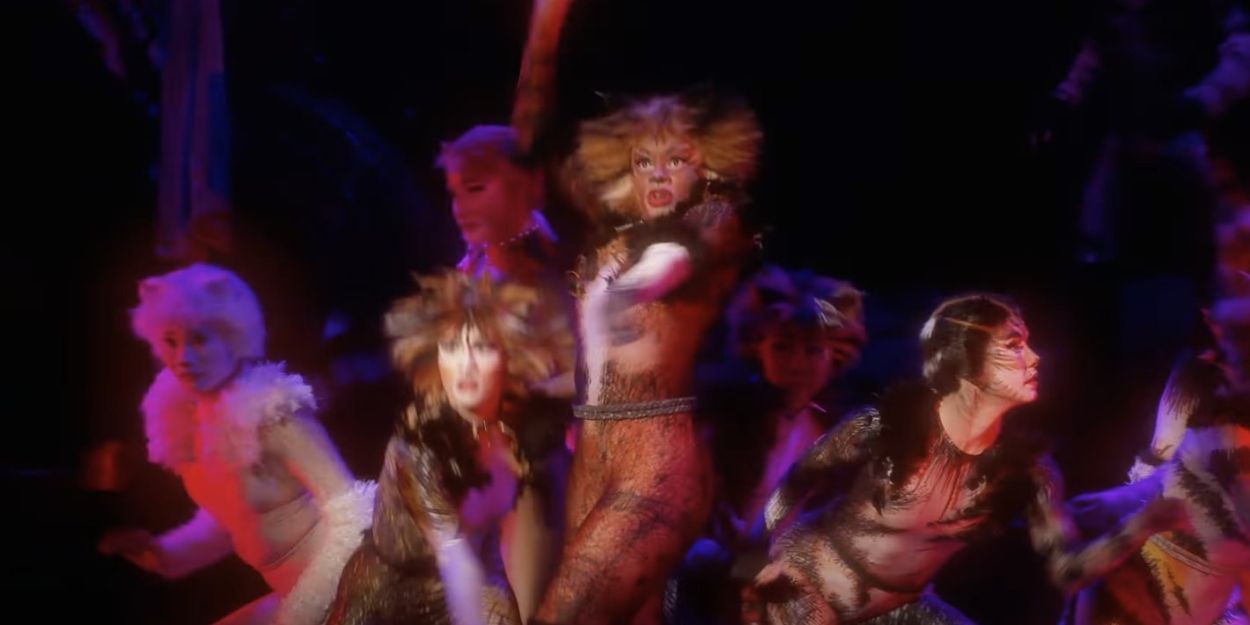 VIDEO: First Look at the National Tour of CATS in San Francisco Video