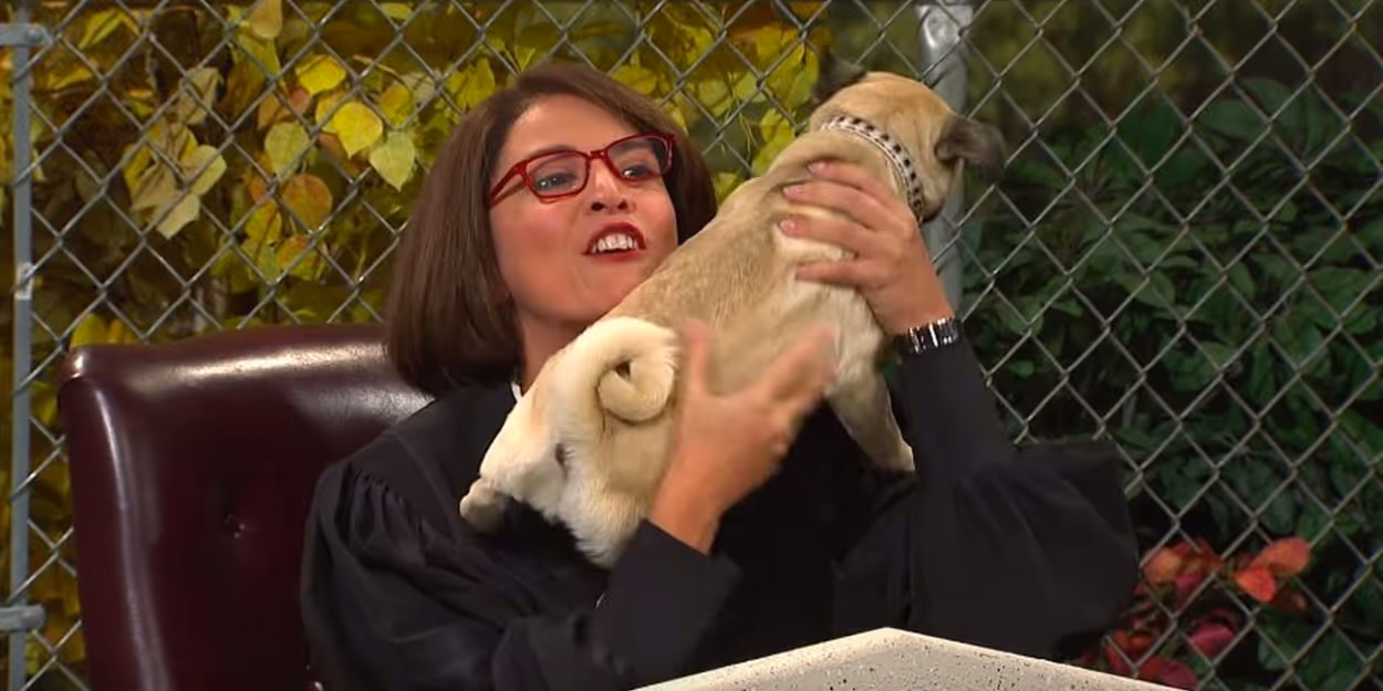 VIDEO: Watch Cecily Strong Preside Over a Dog Court on SNL Video