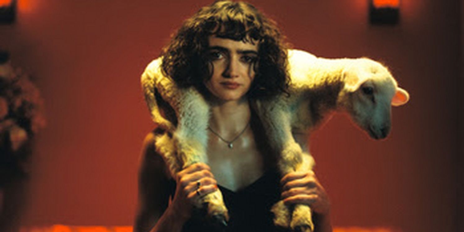 Sir Chloe Confirms Debut Album 'I Am the Dog' & New Song 'Hooves'  Image