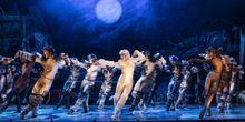 Jellicle CATS Come to Saenger Theatre Next Week
