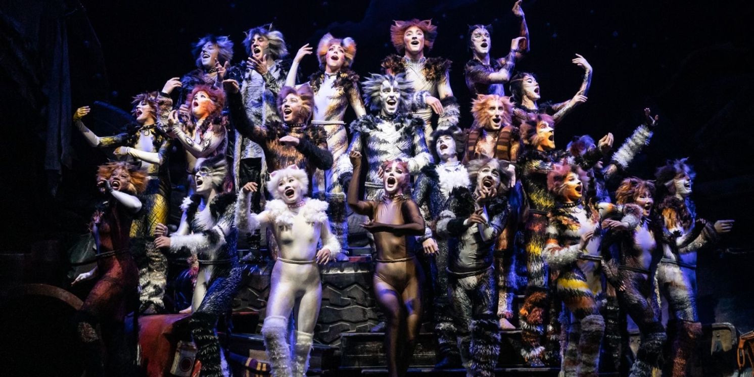 Review: CATS at Minneapolis' Orpheum Theater  Image