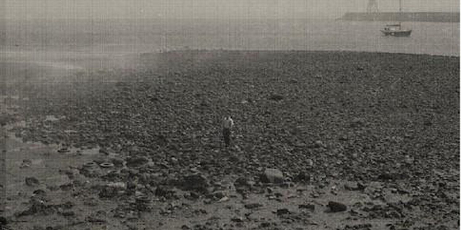 Sam Fender Shares New Single 'Wild Grey Ocean'  Image