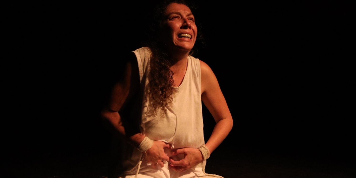 Review: THE SHELL SINGER Is an Artistic Exploration of A Raw Nerve  Image