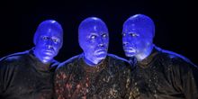 Steven Wendt of BLUE MAN GROUP At Majestic Theatre
