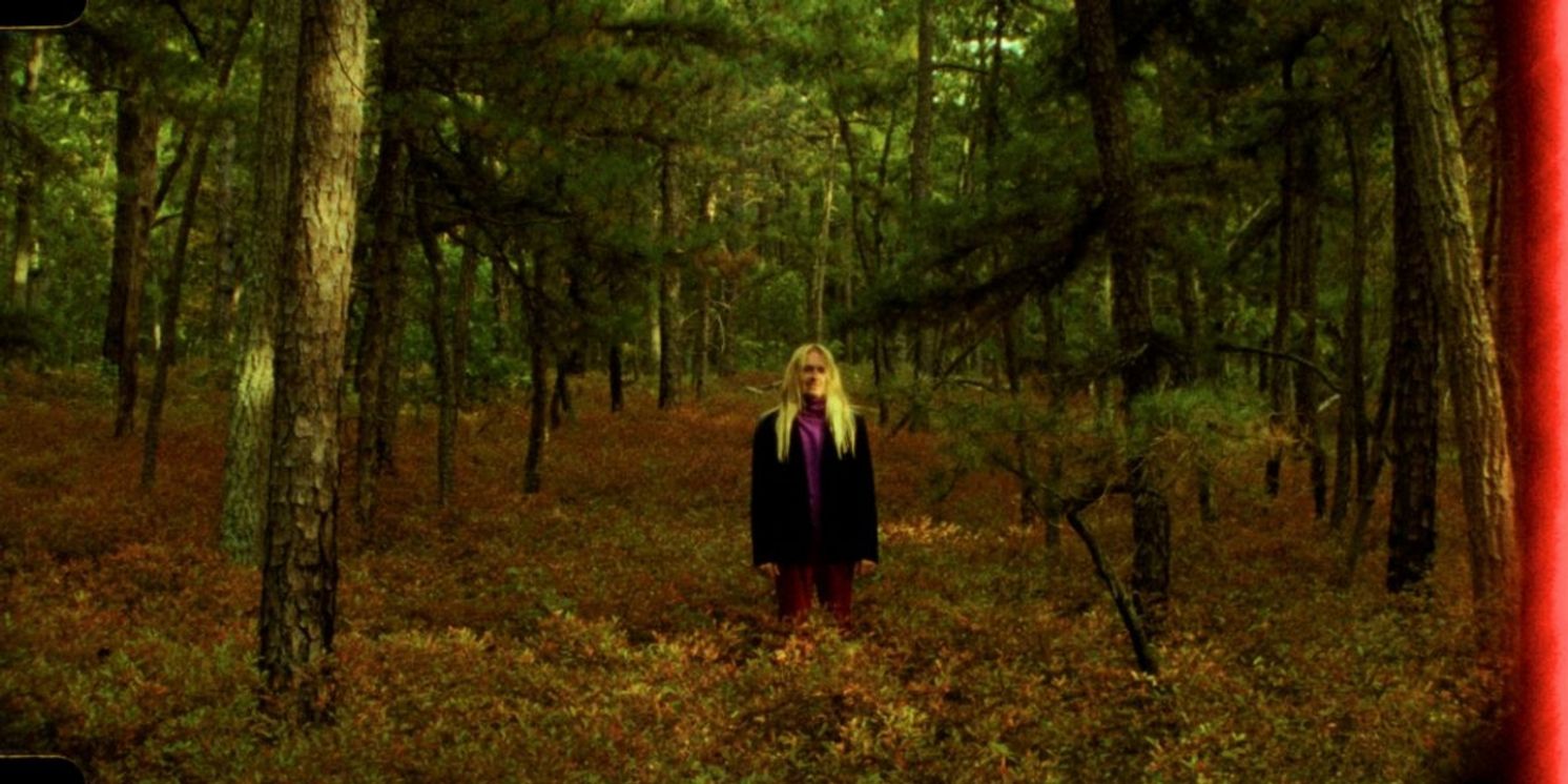 FASCINATOR Announces New Album 'Lovesongs' & Share 'Love Is Coming' Single  Image