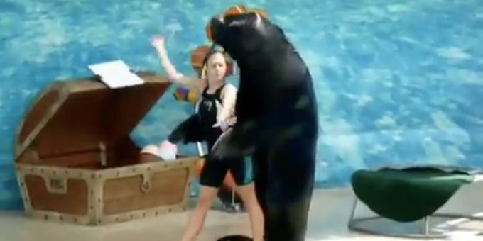 VIDEO: Sea Lion and Trainer Dance to 'Cell Block Tango' from CHICAGO