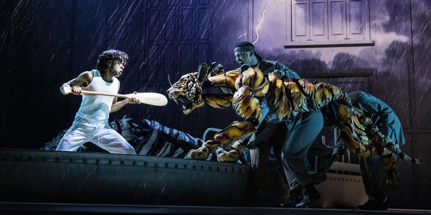LIFE OF PI Wins First-Ever PETA 'Pony Award' For Animal-Friendly Theater Productions  Image