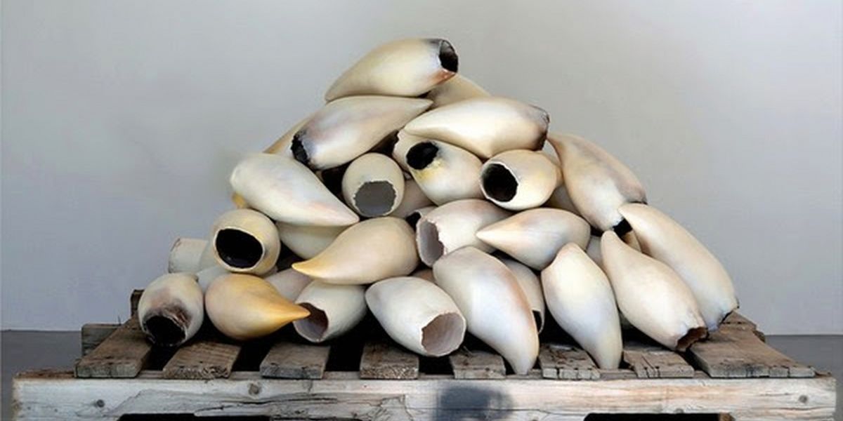 Courtney M. Leonard's First Retrospective Explores Shinnecock Culture At Hecksher Museum