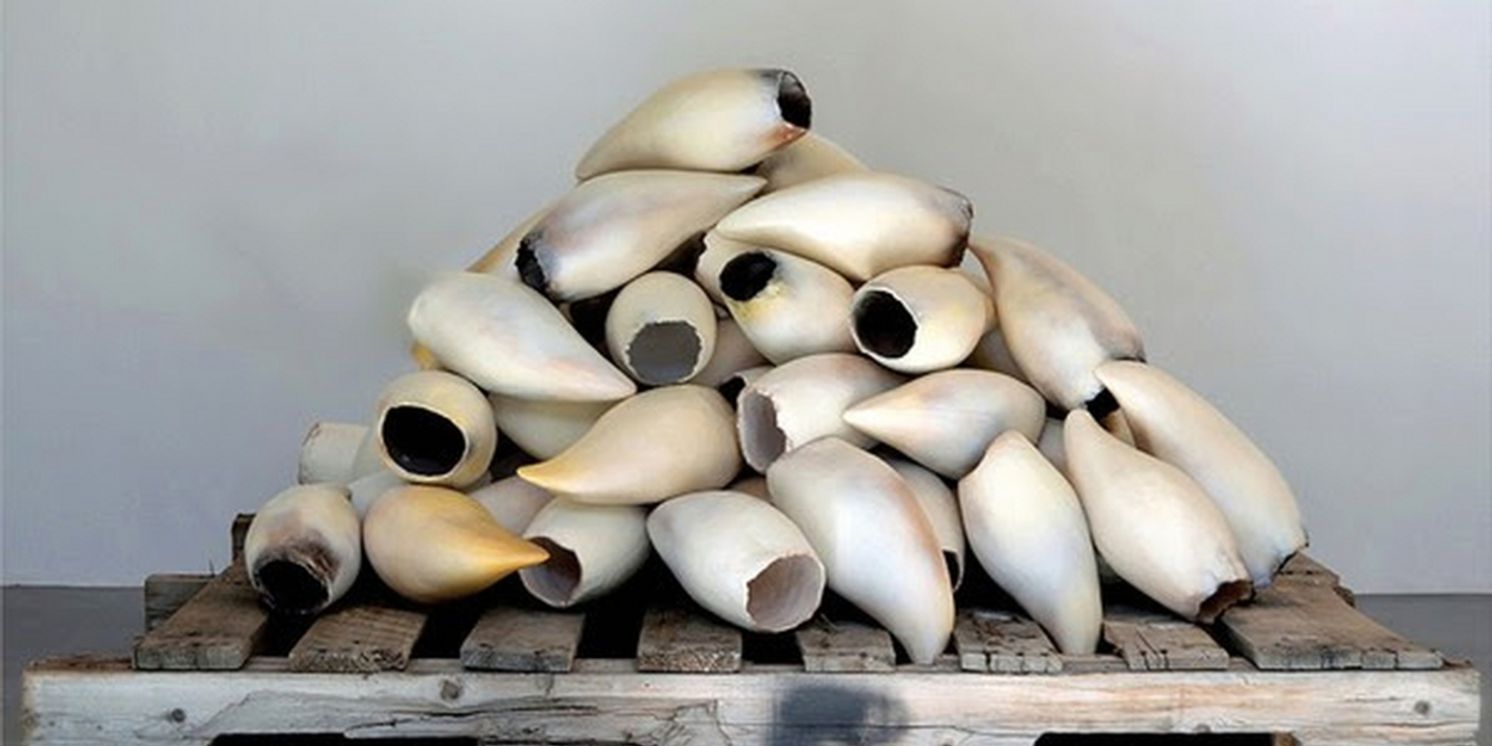 Courtney M. Leonard's First Retrospective Explores Shinnecock Culture At Hecksher Museum  Image