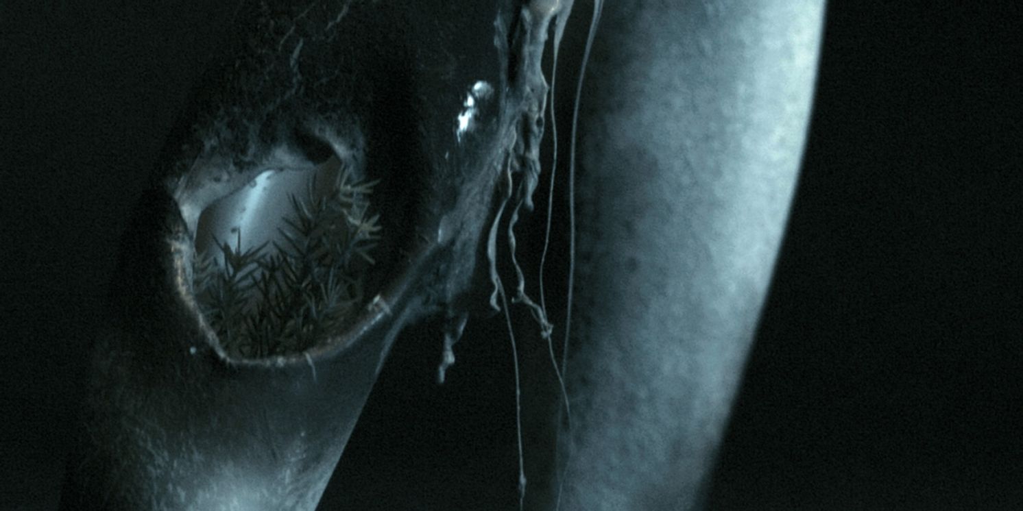 Ivy Lab Release 'Balaclava' & Announce 'Infinite Falling Ground' LP  Image