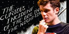 CURIOUS INCIDENT's Iain Kohn Owning His Autism & His New Doppelganger Role