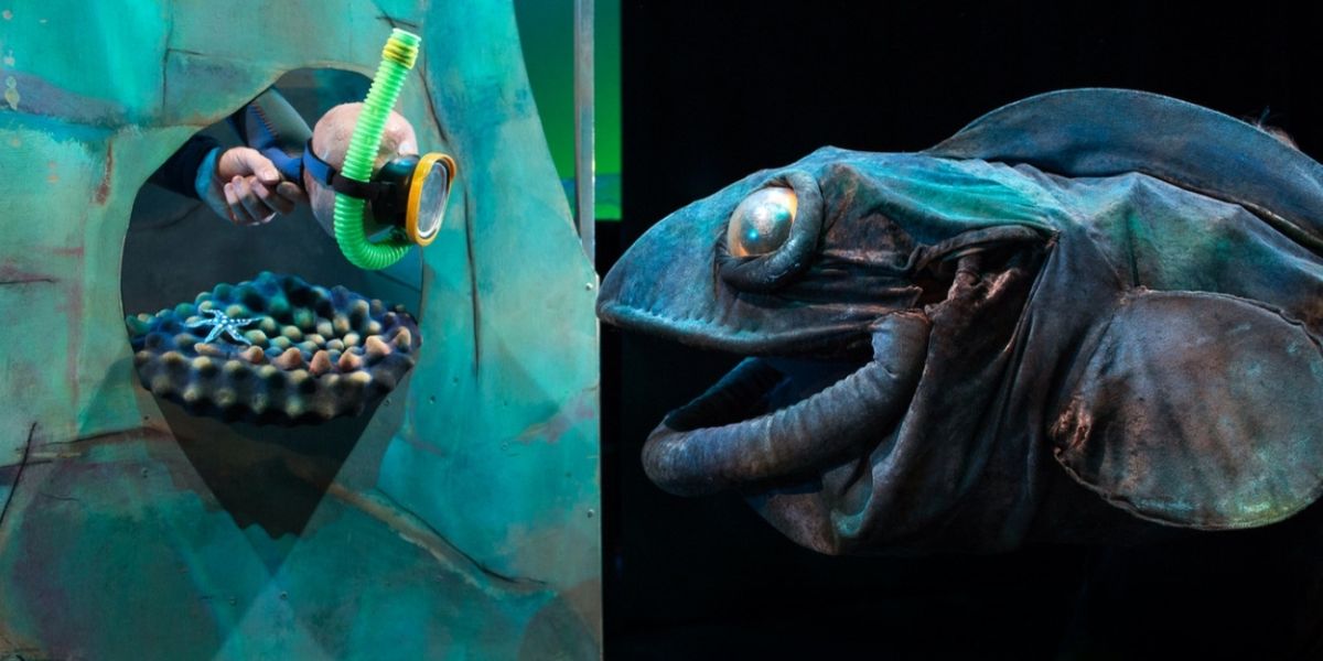 BLUEBACK Comes to Claremont Showground Next Month