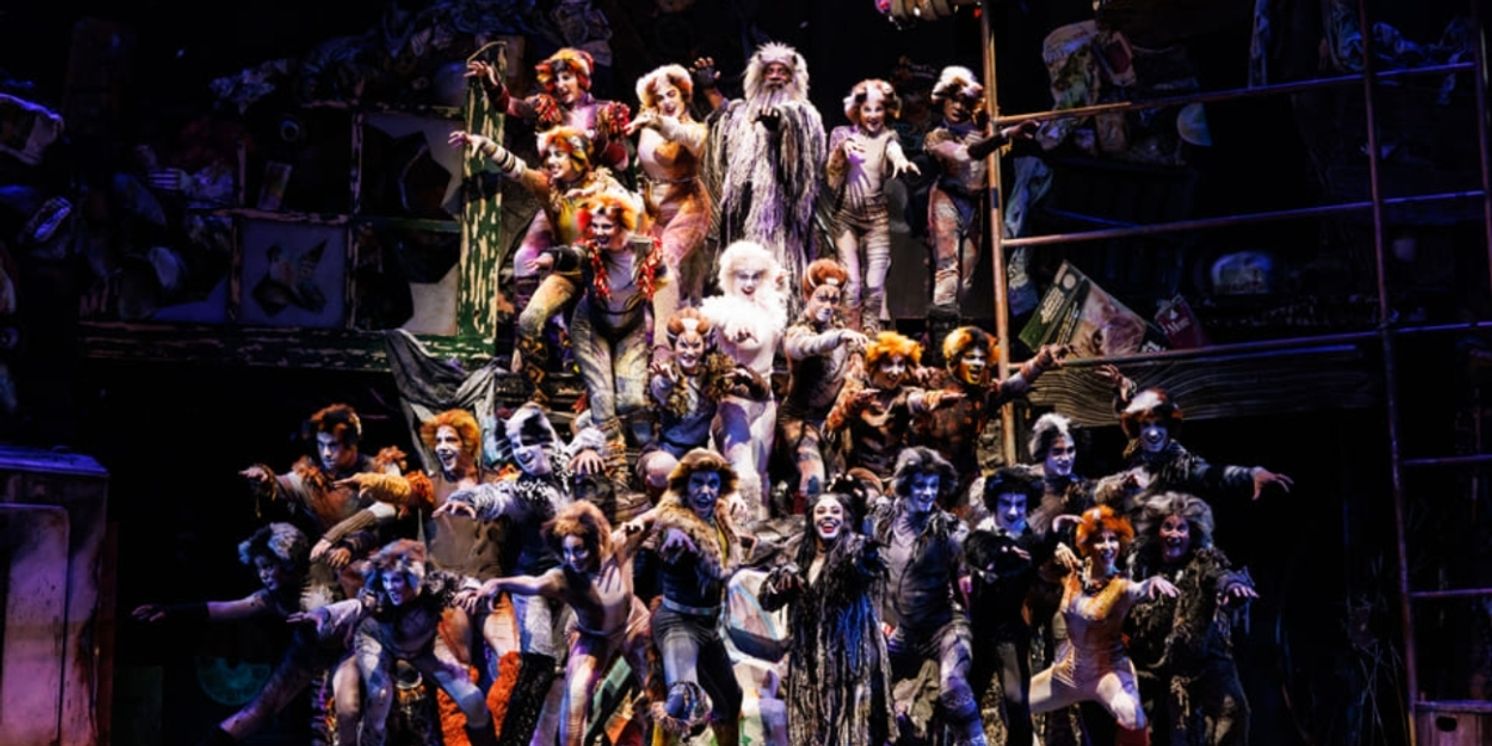 Review: CATS IS A “MEMORY” YOU WON'T FORGET at City Springs Theatre Company  Image