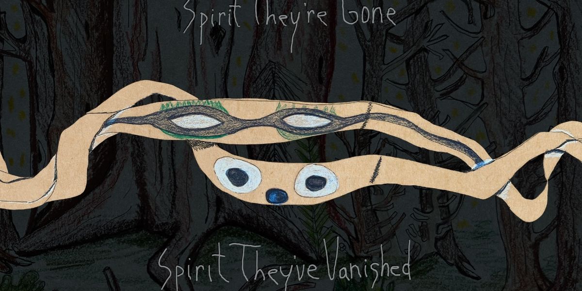 Animal Collective to Reissue 'Spirit They've Gone, Spirit They Vanished' & Release EP of Never-Before-Heard Songs