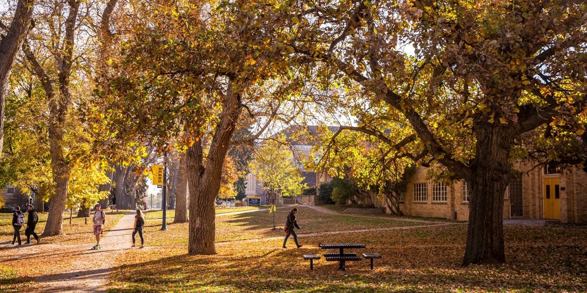Student Blog: Balancing our Crazy Crazy World