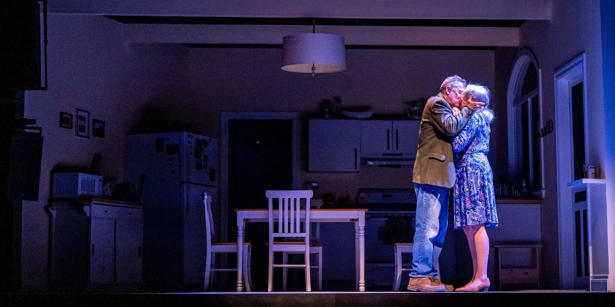 Review: THINGS I KNOW TO BE TRUE at CAA Theatre