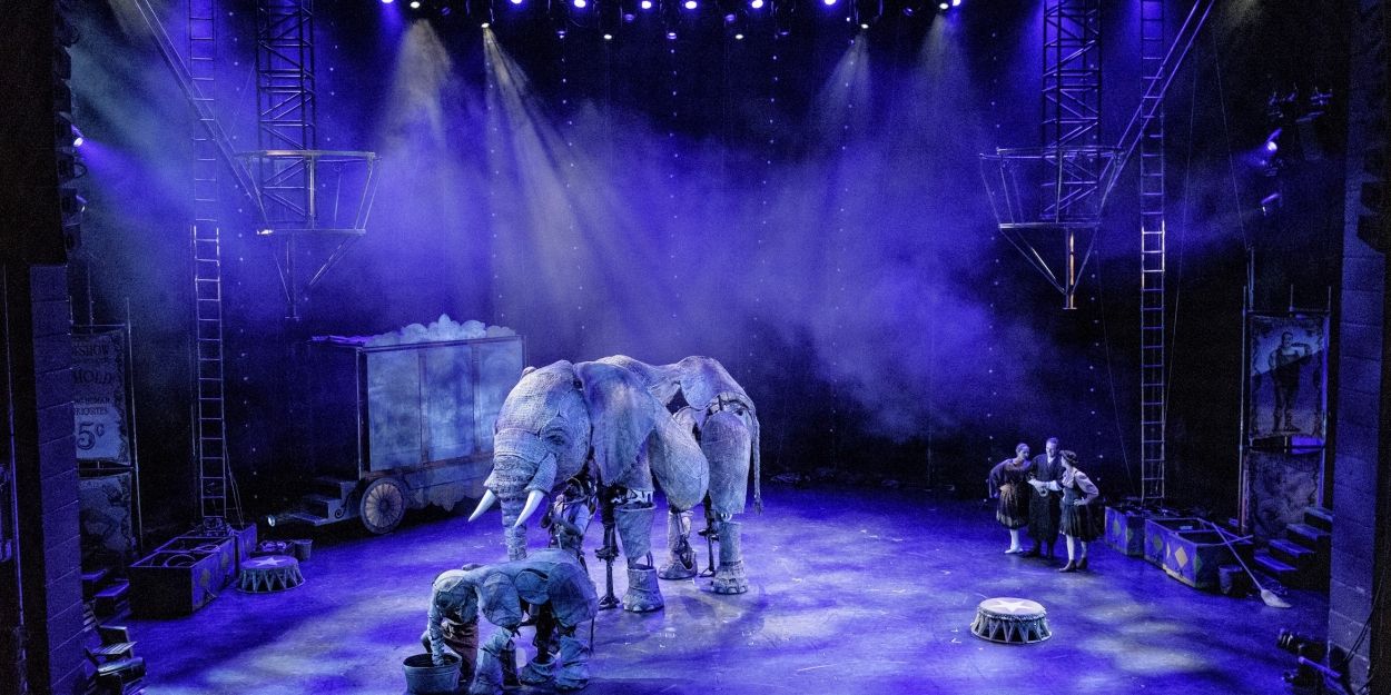Video: First Look At CIRCUS 1903 at Southbank Centre's Royal Festival Hall Video