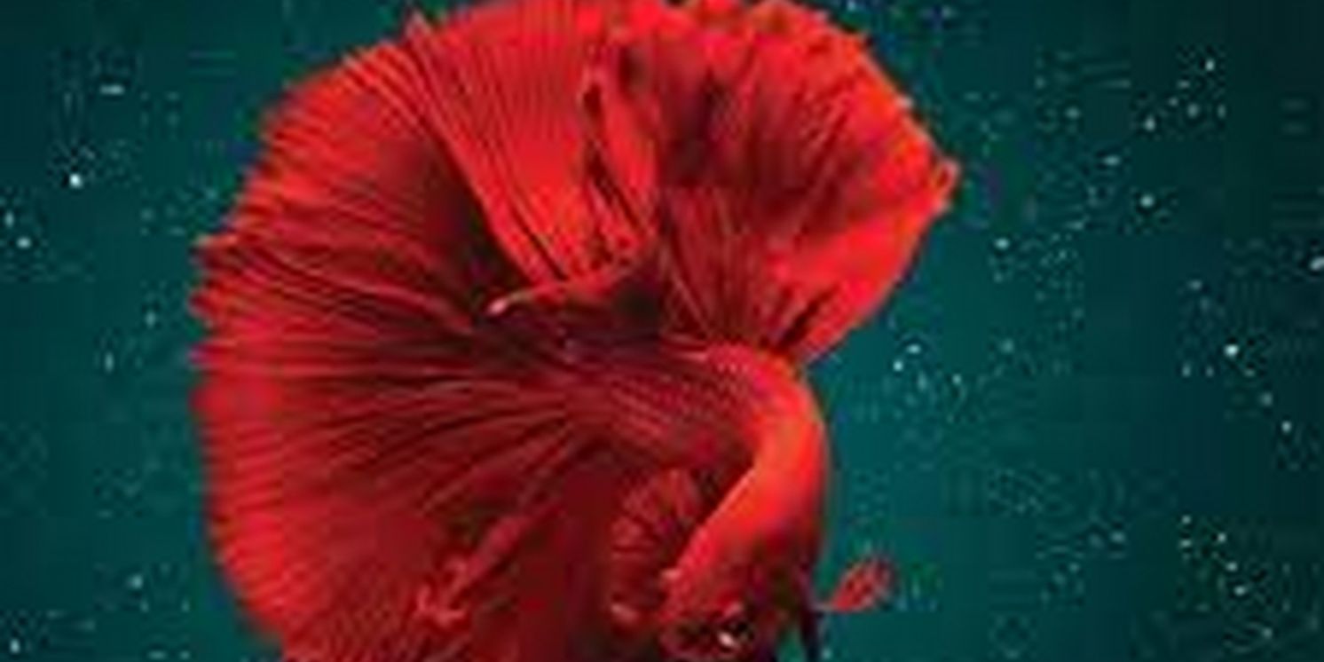 Donnie Kehr to Debut BEAUTIFUL STRANGE Live at The Cutting Room in June  Image