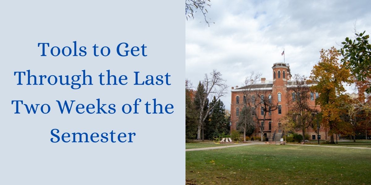 Student Blog: Tools to Get Through the Last Two Weeks of the Semester