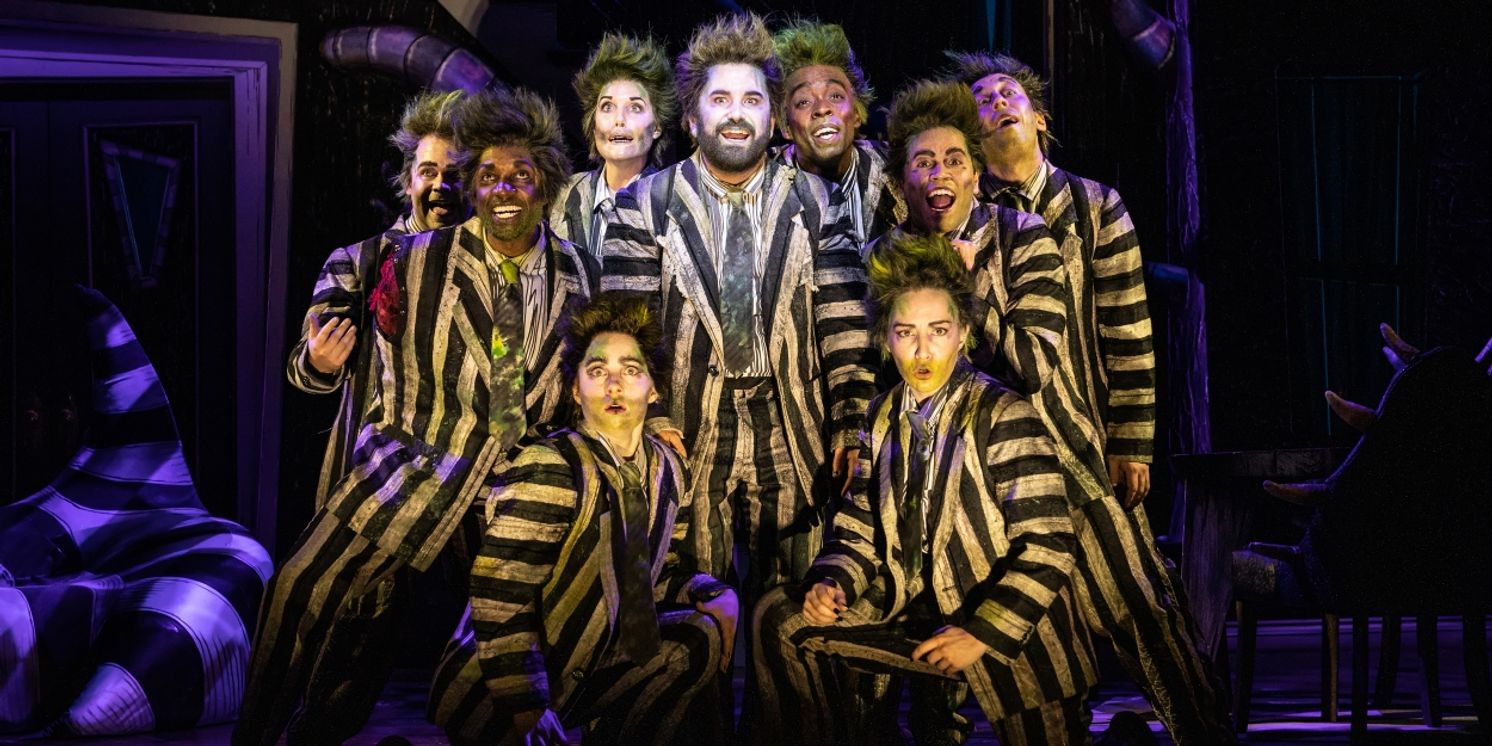 BEETLEJUICE Cancels Tonight's Performance Due to Covid Cases in the Company  Image