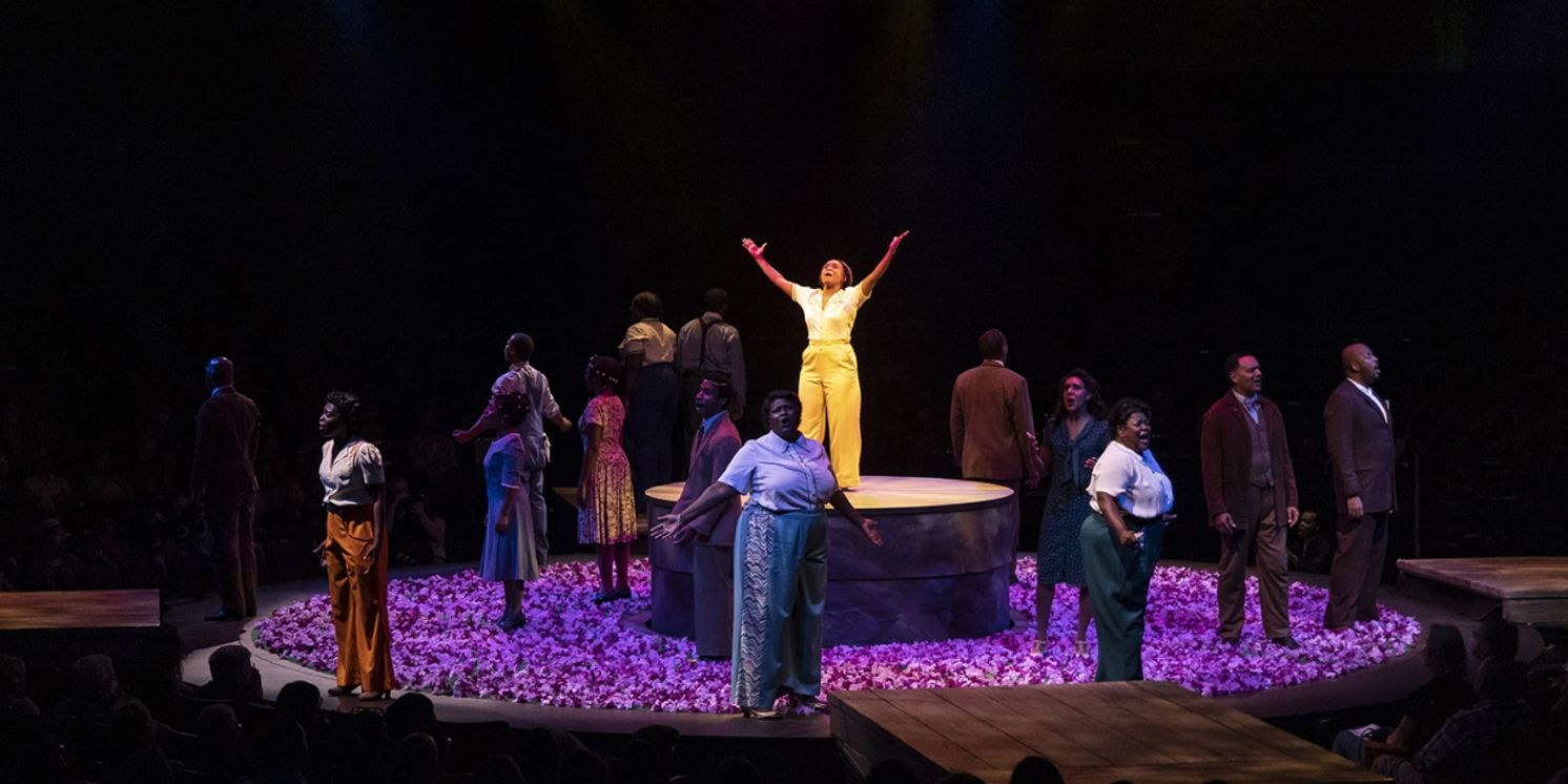 Review: Say 'Hell Yes!' to THE COLOR PURPLE at Broadway At Music Circus  Image