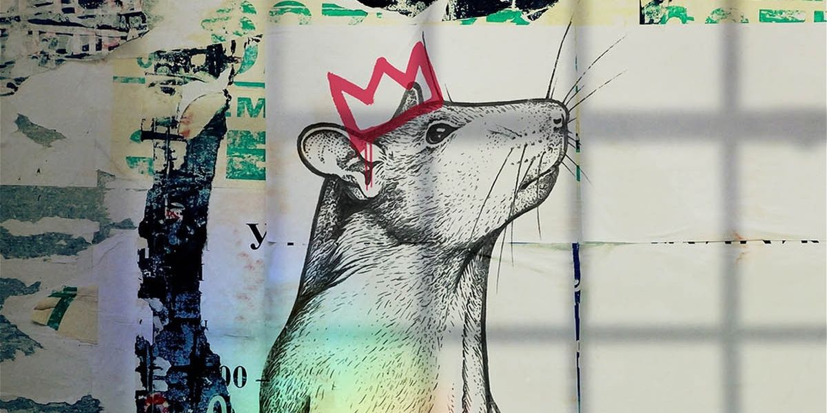 Review: RAT KING, VAULT Festival