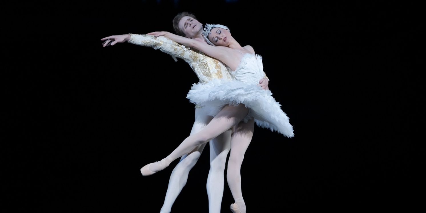 Review: SWAN LAKE Soars in New National Ballet of Canada Production  Image