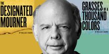 Wallace Shawn – A DESIGNATED Writer of A THOUSAND COLORS