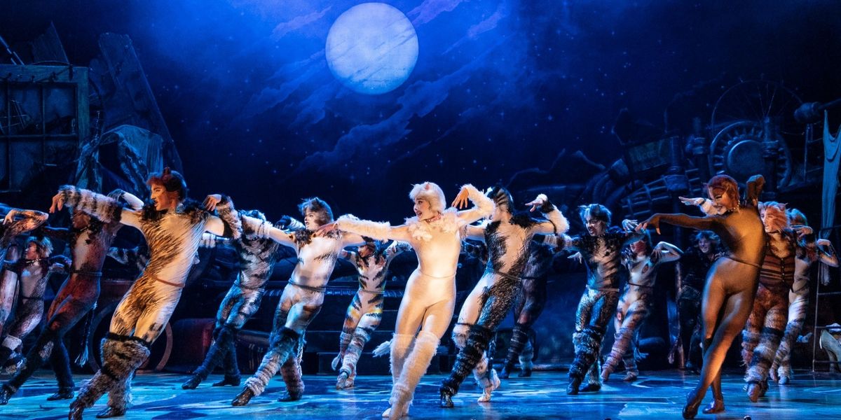 Review: CATS at San Jose Center For The Performing Arts