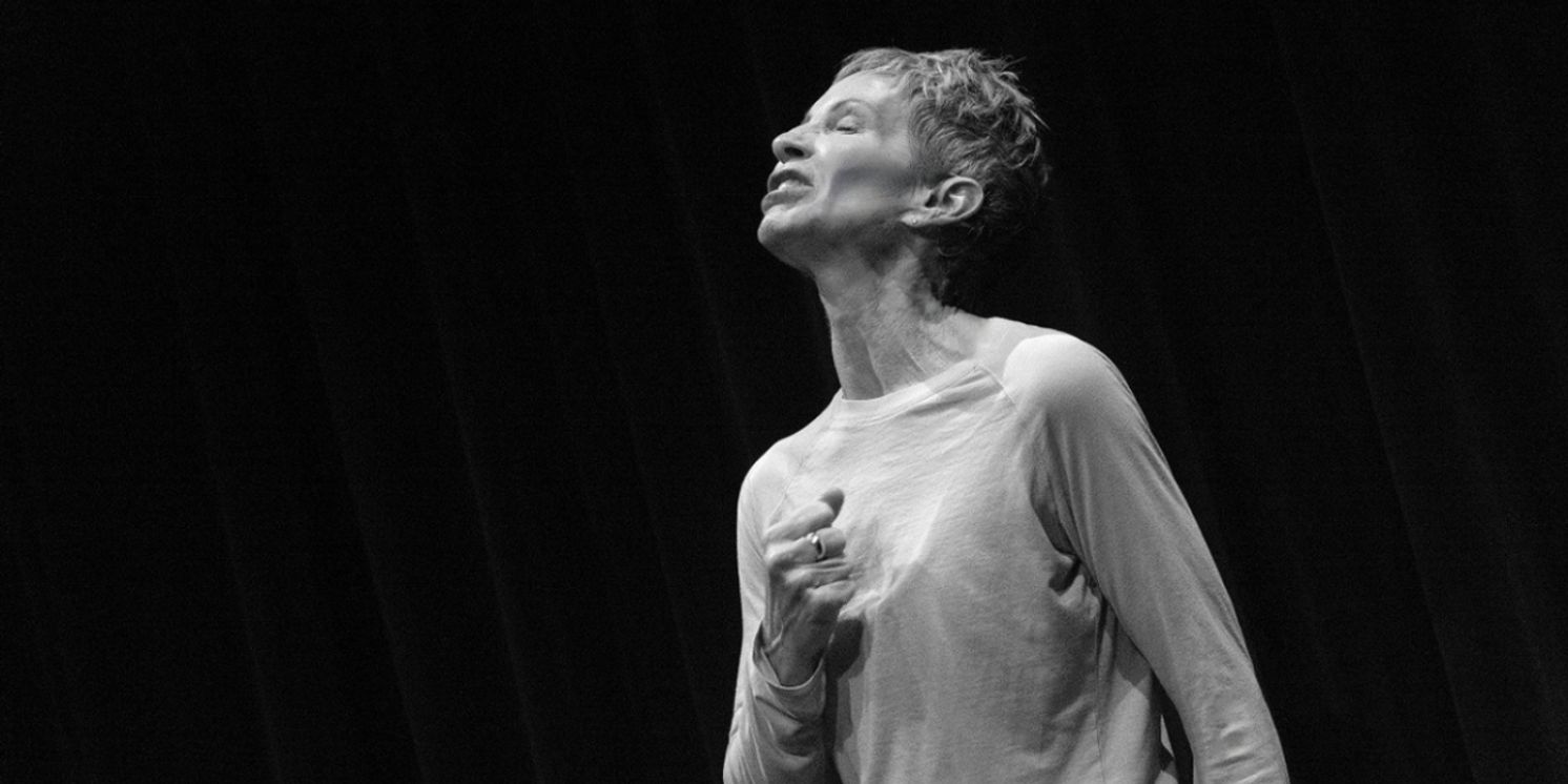 New Musical THE HUMMINGBIRD To Benefit Center For Domestic Peace In Marin County  Image