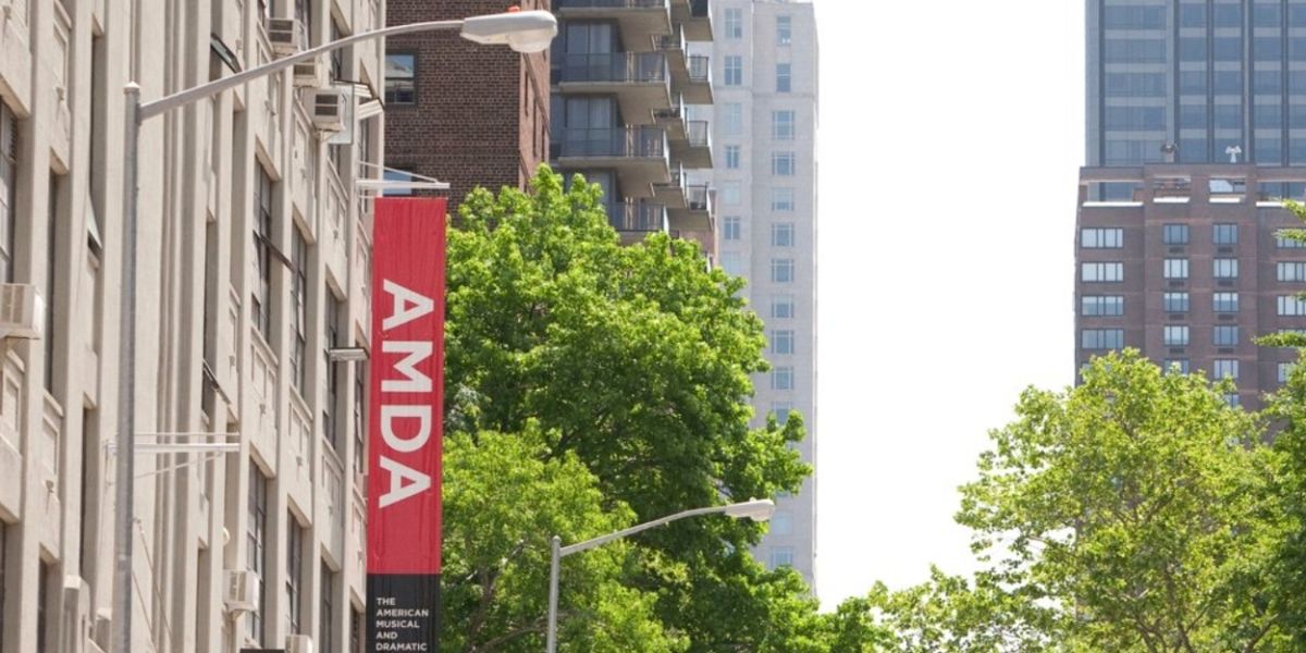 Student Blog: Start of the AMDA Summer!