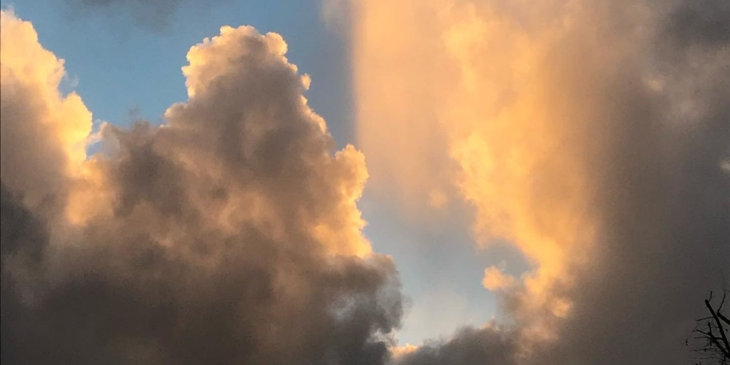 War Strings Share New Single 'Surreal'  Image