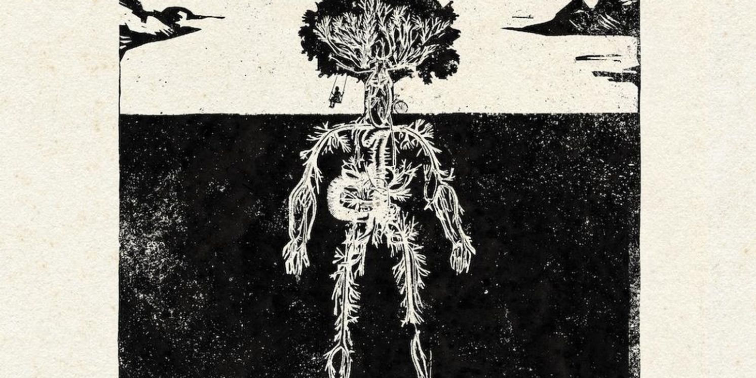 Bokanté Announces Newest Album 'History' Due Out in June  Image