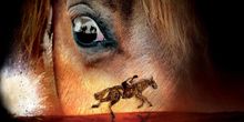 Scott Miller talks WAR HORSE as it extends its journey to Australia in 2020.