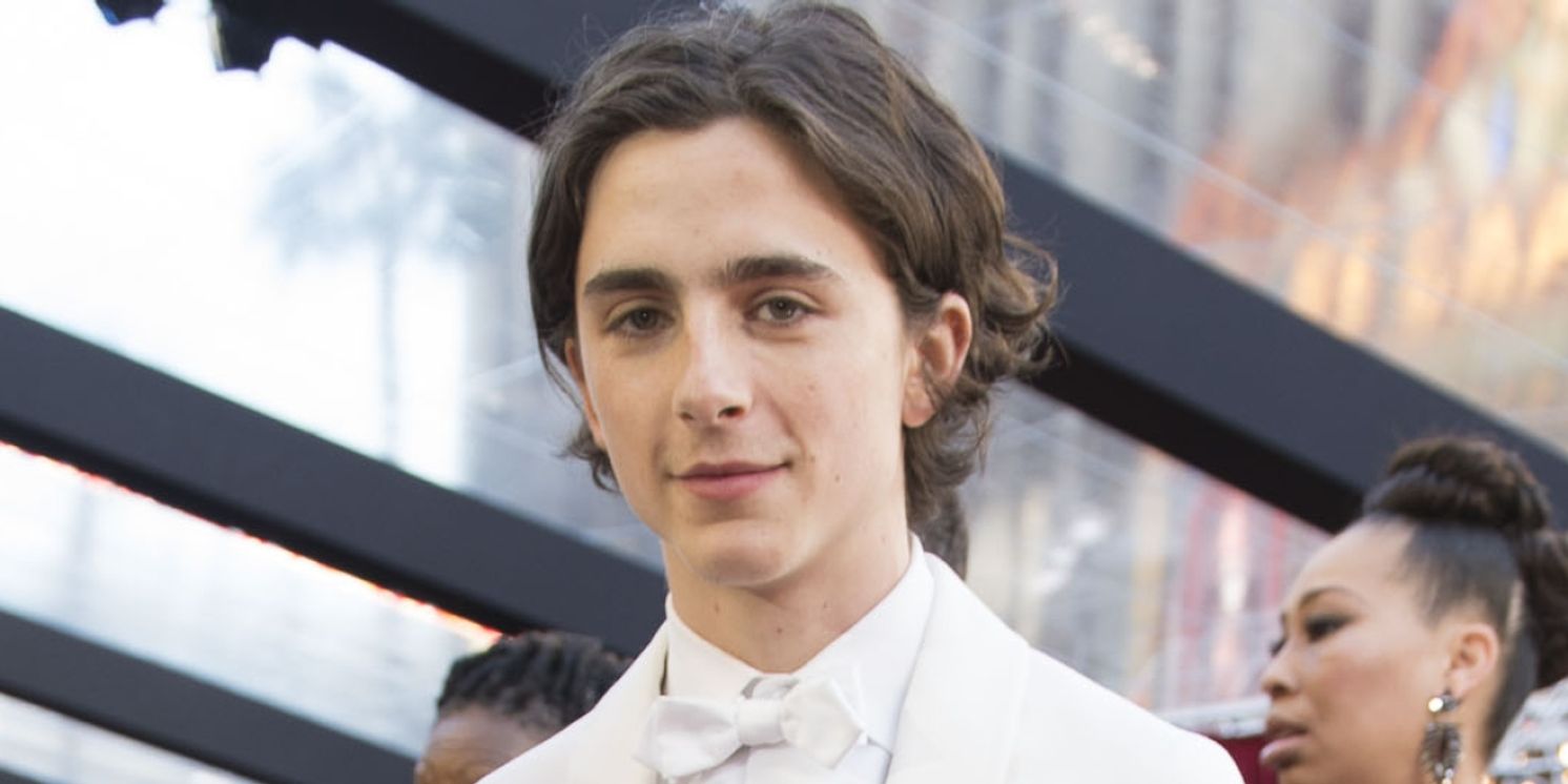 Timothée Chalamet Reveals He Has Seven Musical Numbers in WONKA  Image