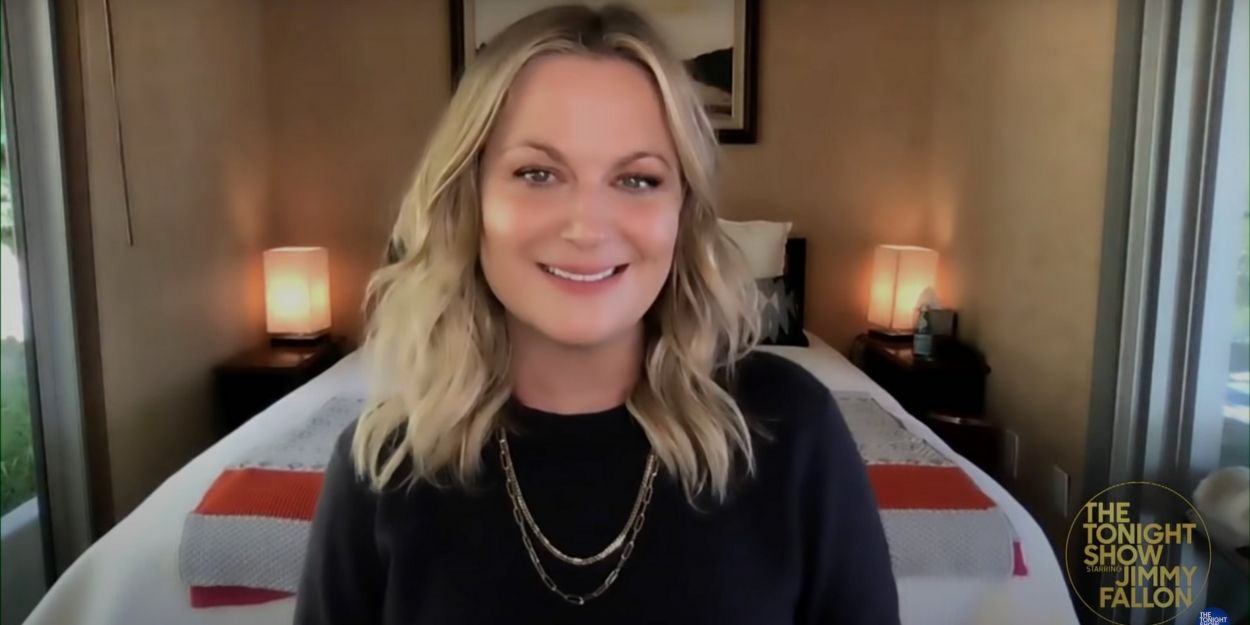 VIDEO: Amy Poehler Had Nightmares About Hosting the GOLDEN GLOBES Video