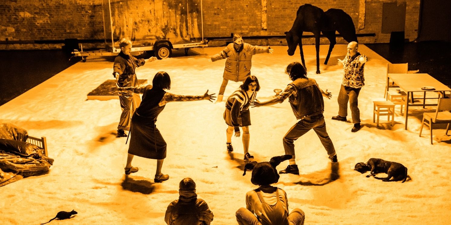 Review: THE DISCOMFORT OF EVENING at Wroclaw Mime Theatre  Image