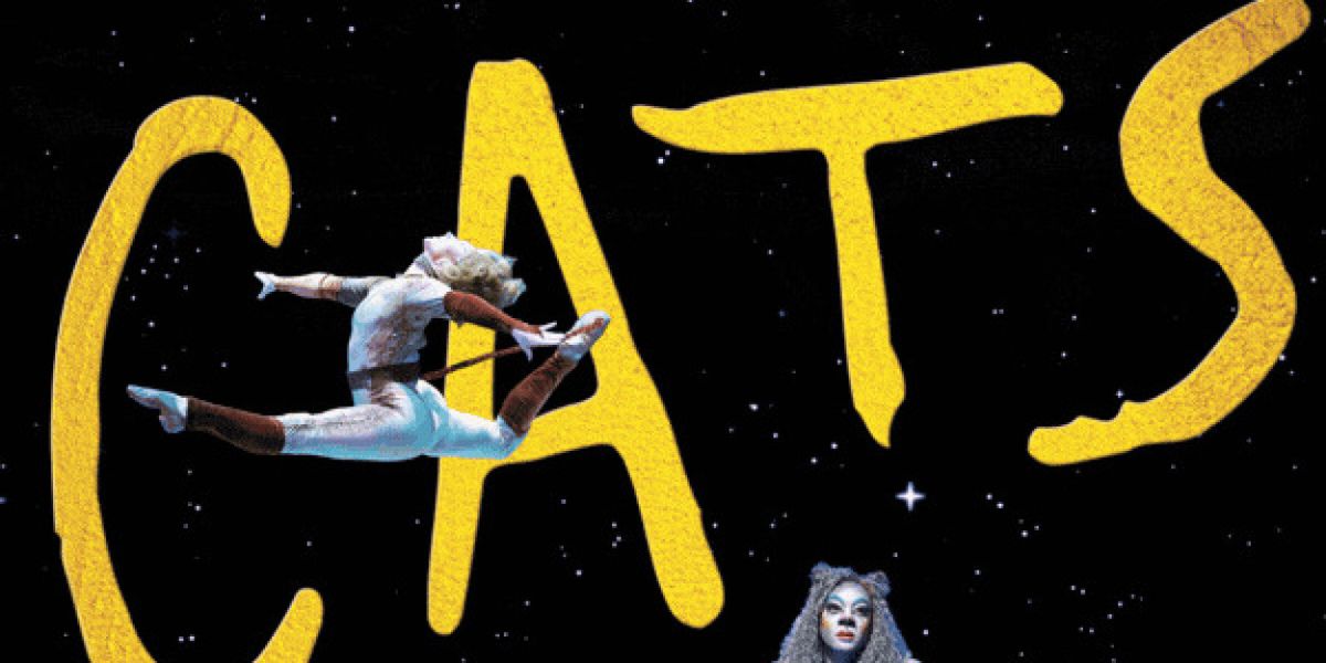 Spotlight: Let the Memory Live Again with CATS at Beef & Boards