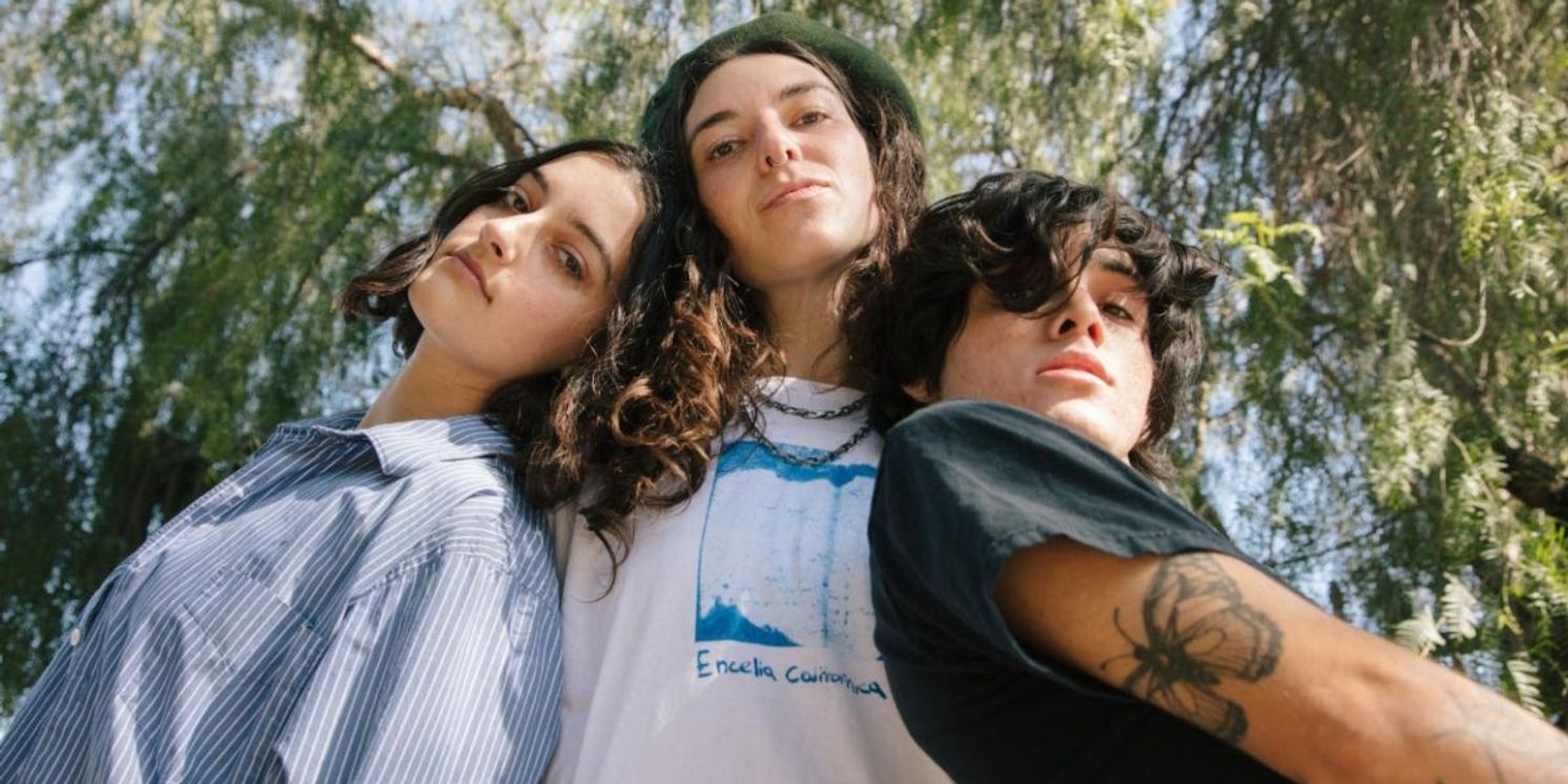 Gal Pal Release New Album 'This and Other Gestures'  Image