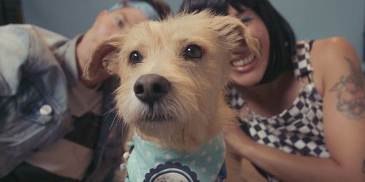 Matt and Kim Drop Surprise New Single 'Money' Video