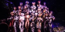 Timothy Gulan of CATS at Majestic Theatre