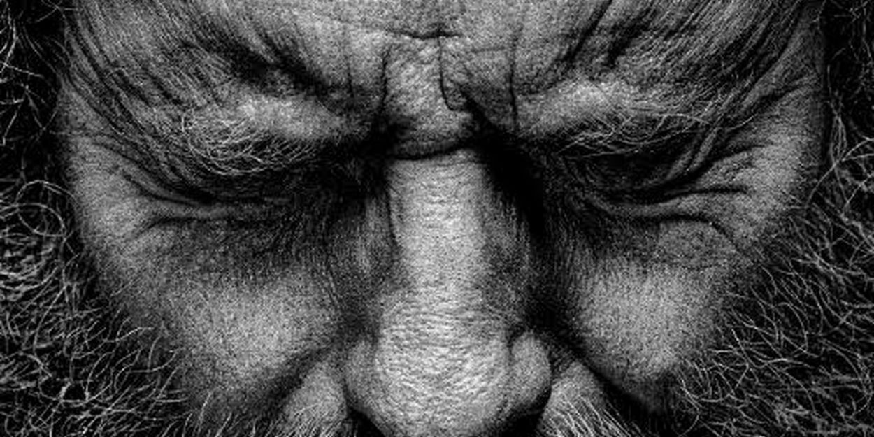 VIDEO: Bryan Cranston Stars In YOUR HONOR Season Two Trailer Video