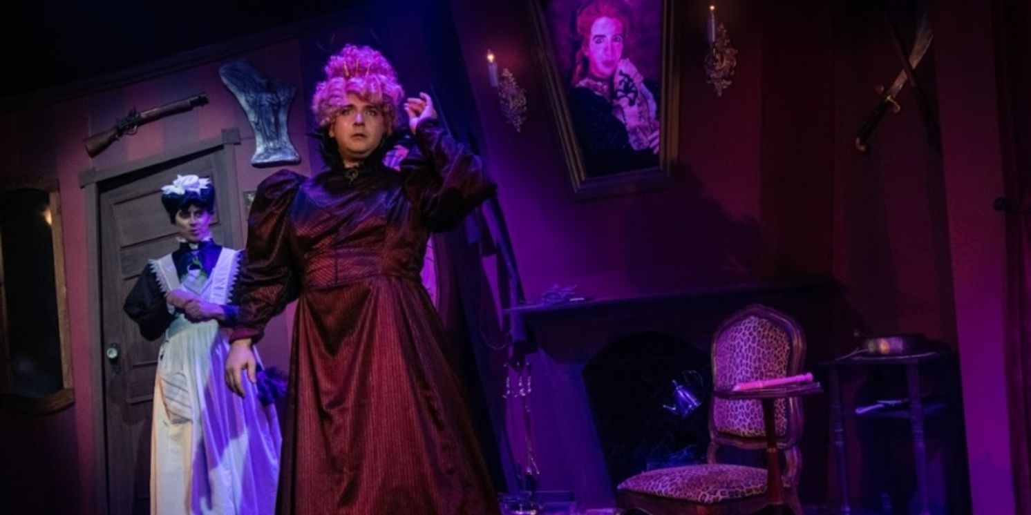 Review: THE MYSTERY OF IRMA VEP at Diversionary Theatre offers zany and high-camp humor  Image