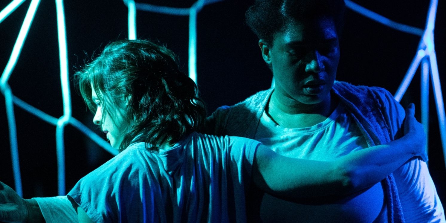 Review: THIS INHERENT ECHO at Taffety Punk  Image