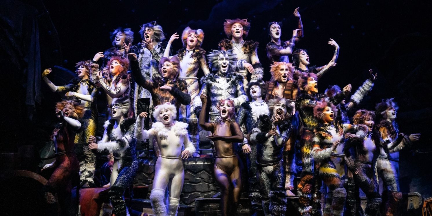 Review: CATS is the Latest Musical to Prowl Onto the Vancouver Stage  Image